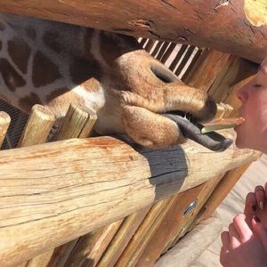 Meet your Posher, Kol